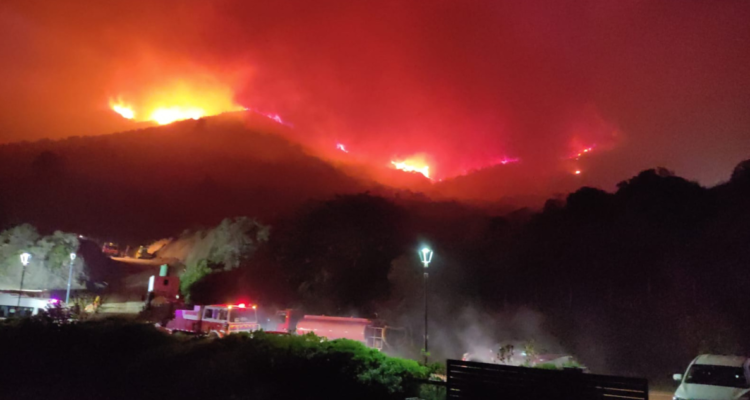 Alerta Roja por incendio forestal en Papudo y Zapallar