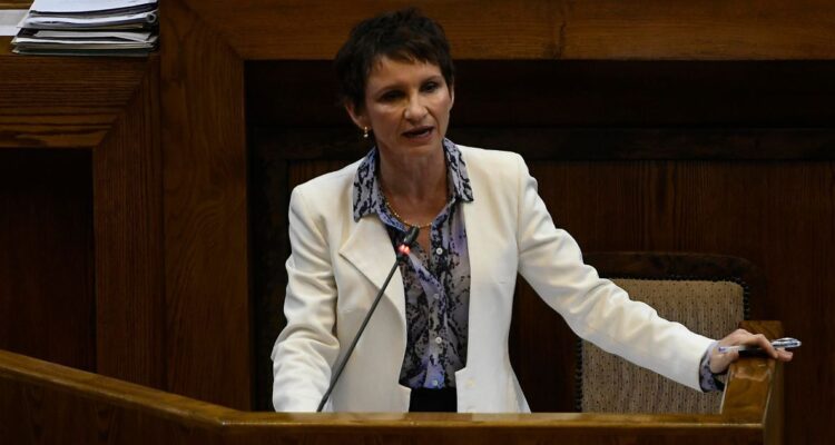 interpelación ministra Tohá