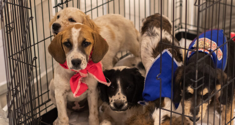 Contexto/ Agencia UNO