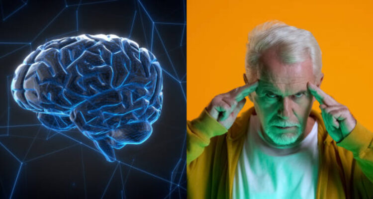 Científicos trabajan con una IA para leer mentes