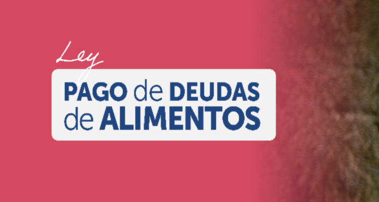Ley pago de deudas de alimentos