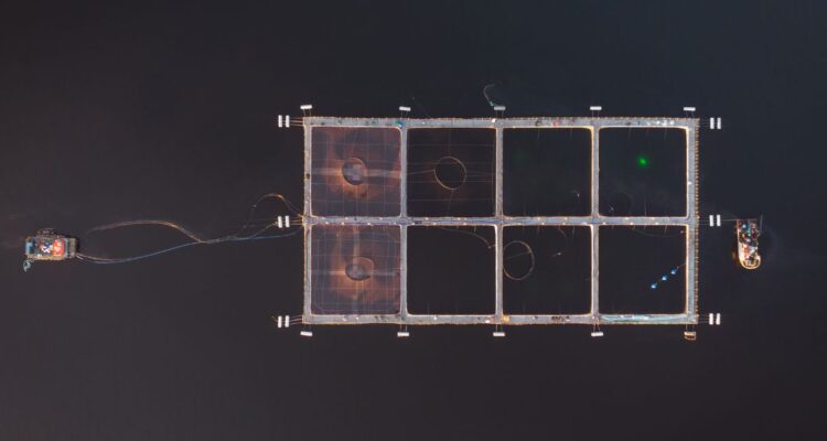 Ley SBAP: Gobierno lamenta que prohibición de nuevas concesiones en áreas protegidas fuera rechazada