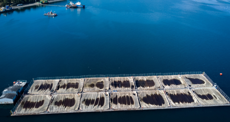 industria salmonera áreas protegidas