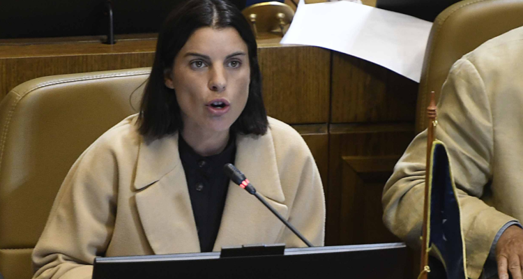 Diputada Maite Orsini en una sesión en la Cámara.