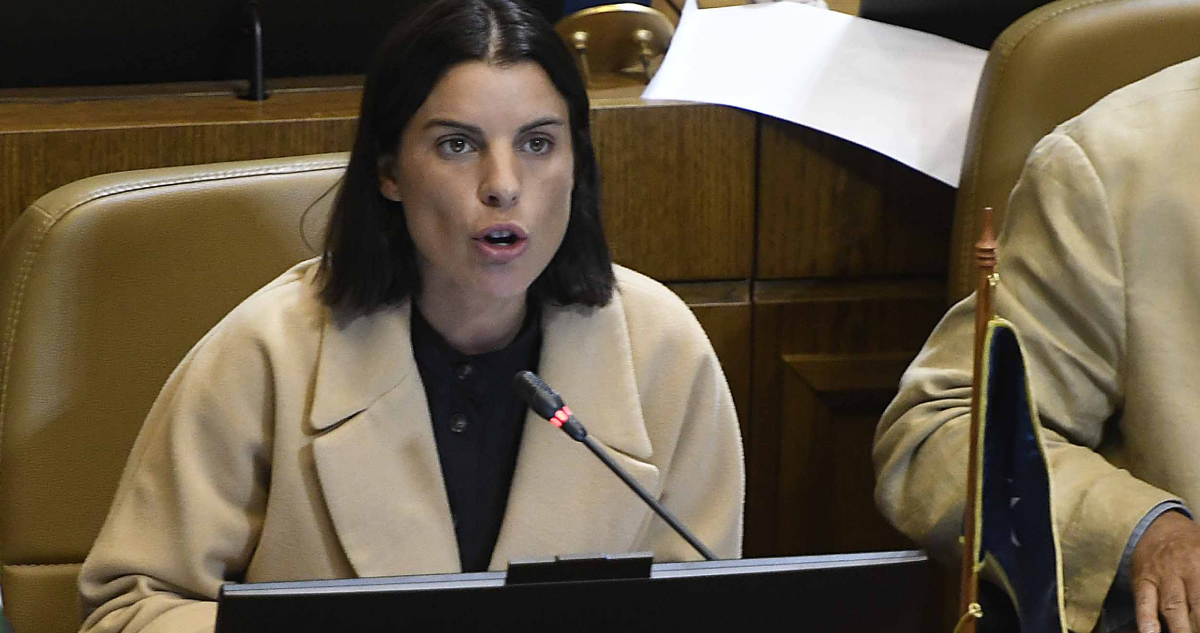 Diputada Maite Orsini en una sesión en la Cámara.