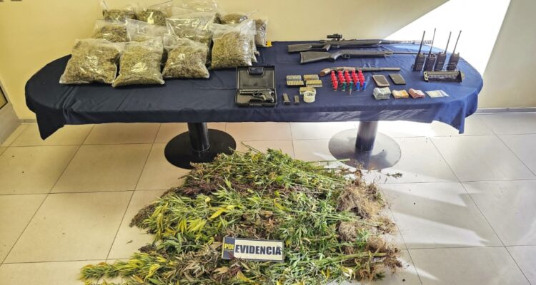 Marihuana incautada en comunidad mapuche de Victoria