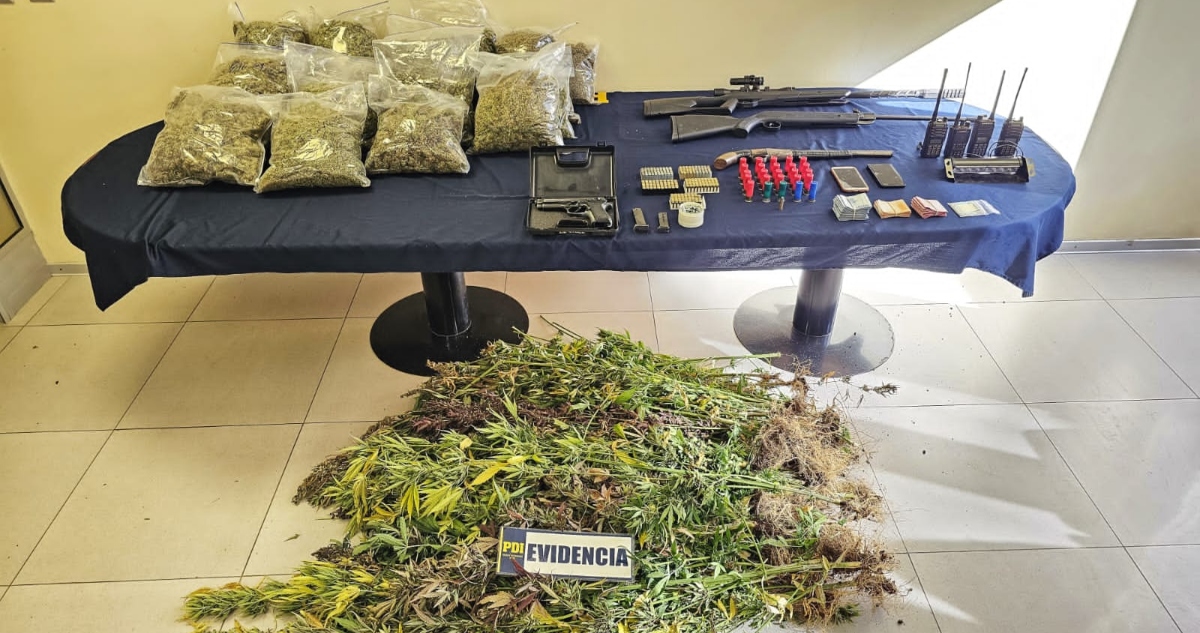 Marihuana incautada en comunidad mapuche de Victoria