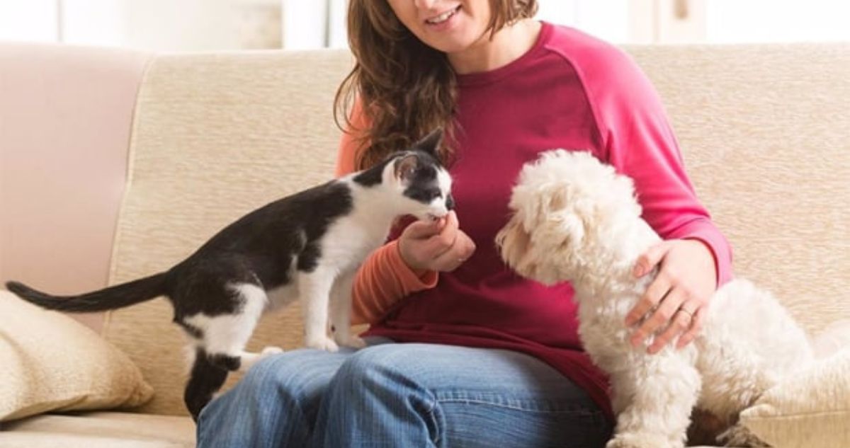 El frío puede afectar la salud de las mascotas