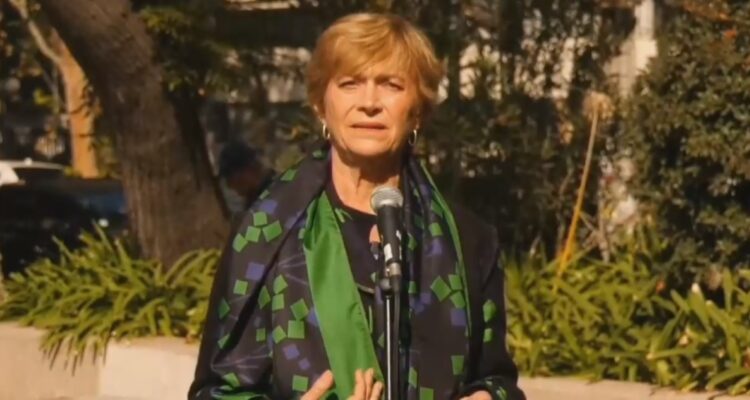 Evelyn Matthei elección consejo constitucional