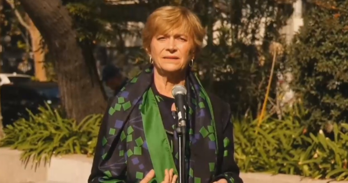 Evelyn Matthei elección consejo constitucional