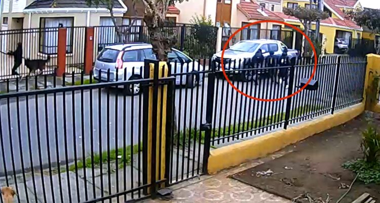 Detienen a estudiantes por portonazo en Hualpén