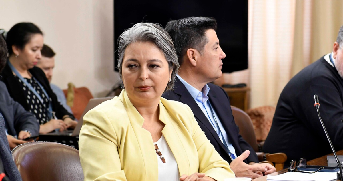 ministra jara