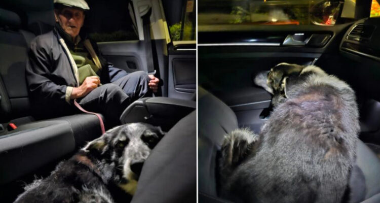 Mujer salva a anciano y su perro de congelarse en una calle de Inglaterra