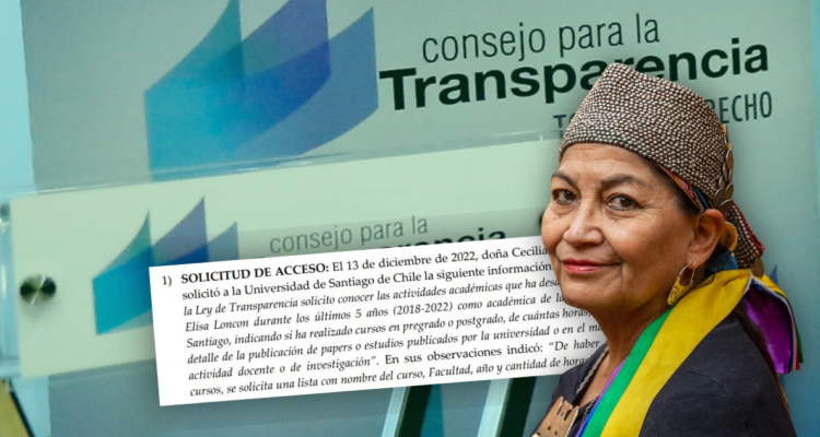 No son sus títulos: qué pide Transparencia a Elisa Loncón y la Usach en 7 puntos.