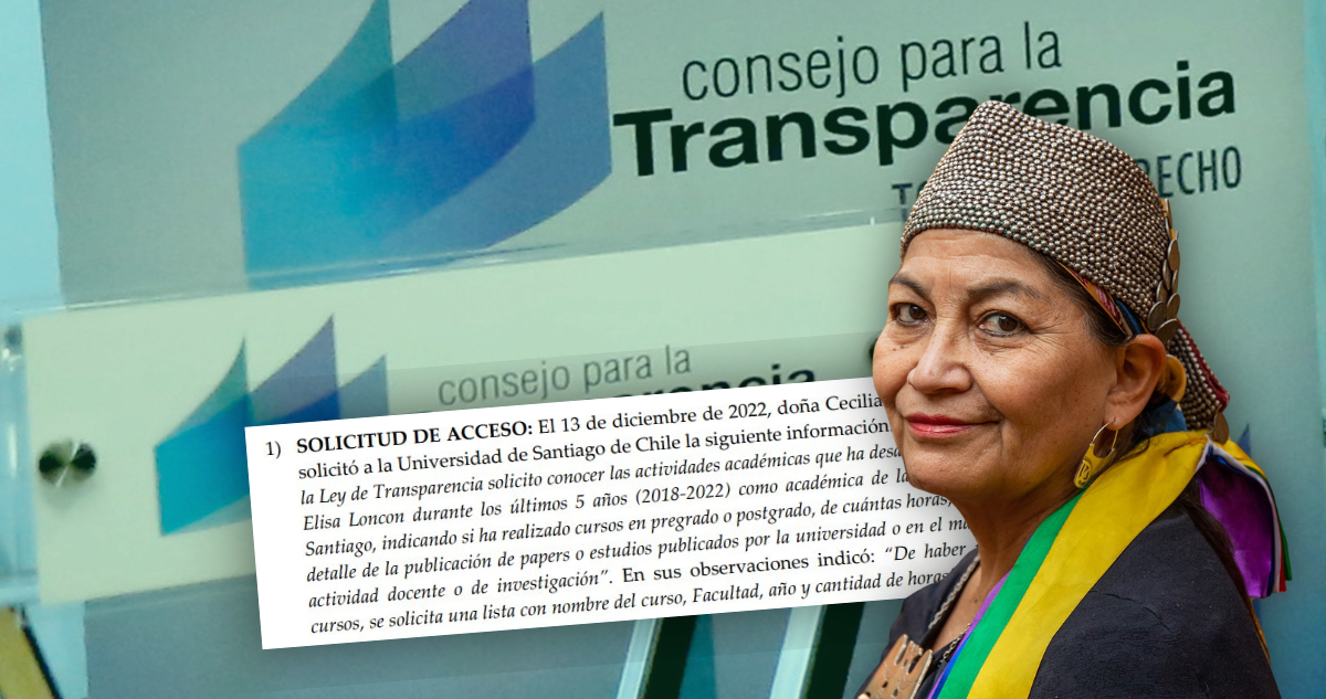 No son sus títulos: qué pide Transparencia a Elisa Loncón y la Usach en 7 puntos.