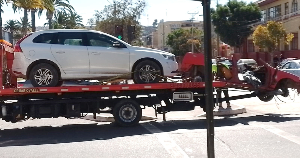operativo en parcela de Ovalle