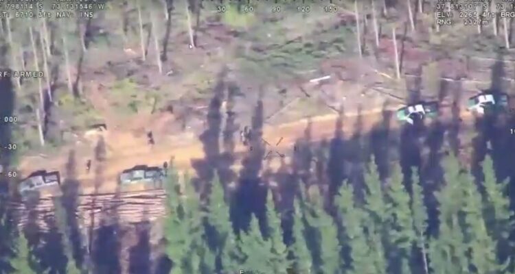 Operativo por robo de madera