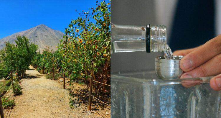 Chile Travel/ Agencia UNO