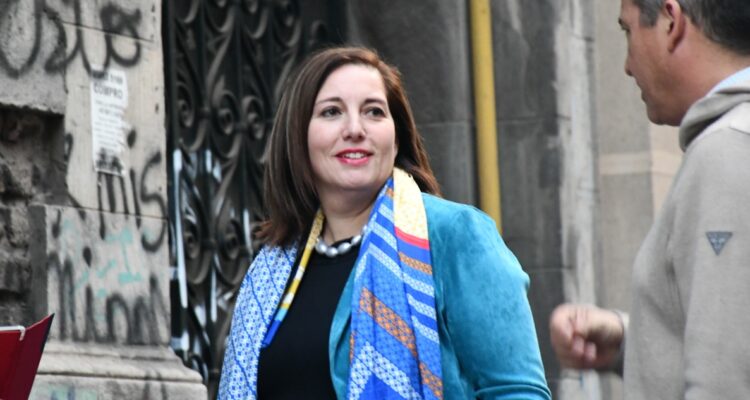 Paulina Vodanovic resultados elección consejo Constitucional