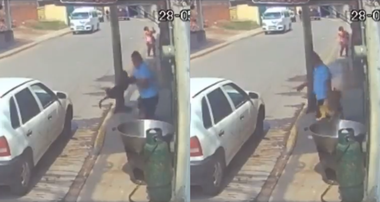 Sujeto metió perro dentro de olla con aceite