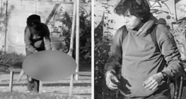 Graban a hombre destripando a un perro en plena plaza de Curicó: animal había muerto atropellado