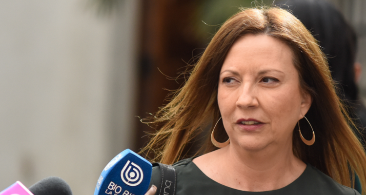 Imagen de la presidenta del PPD, Natalia Piergentili