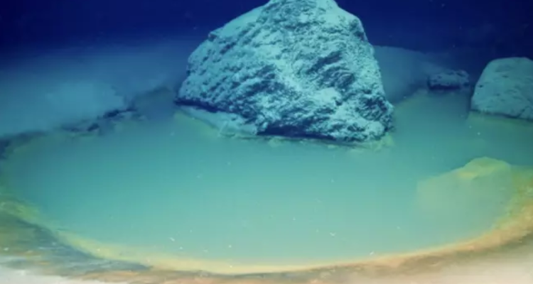 Piscinas de salmuera en el fondo del Mar Rojo