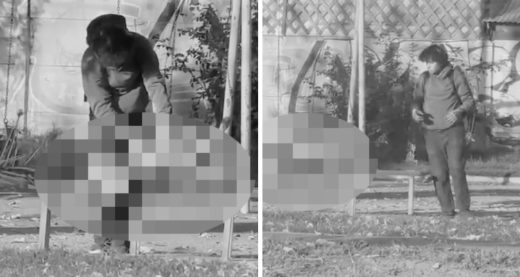 Madre de joven que destripó a perro en plaza de Curicó pide disculpas y dice que “quiere ser médico”