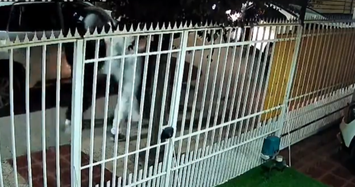 Carabinero frustró a tiros un portonazo que afectaba a su vecino en Quilicura
