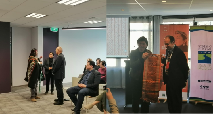 Gobierno y líderes mapuche de Bío Bío viajan a Nueva Zelanda para conocer su relación con pueblo Maorí