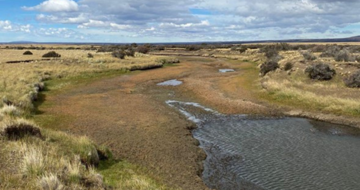 Río Vizcachas