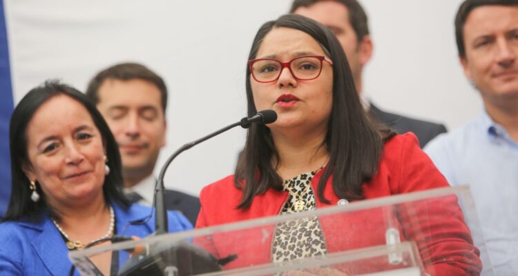 El rol del Partido Republicano en el Consejo Constitucional para una nueva Constitución.