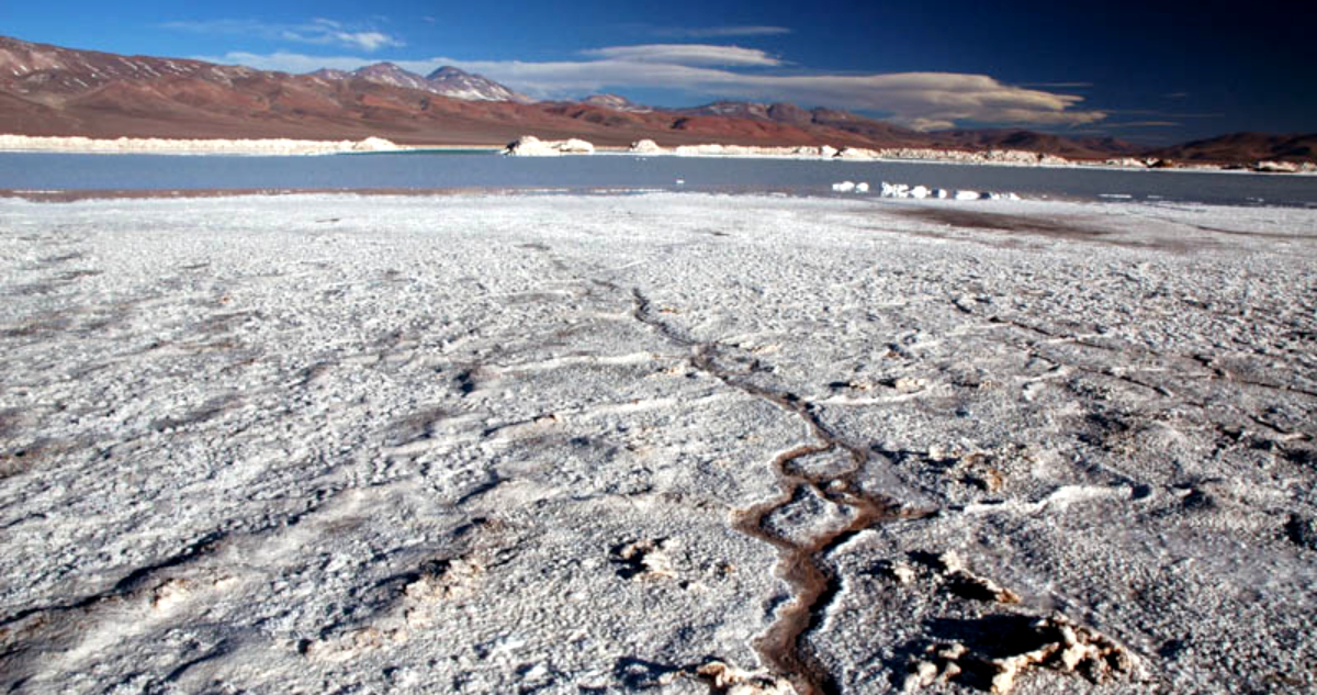 “Futuro promisorio” con el litio: Codelco descubre que Salar de Maricunga es el 2do mejor del mundo