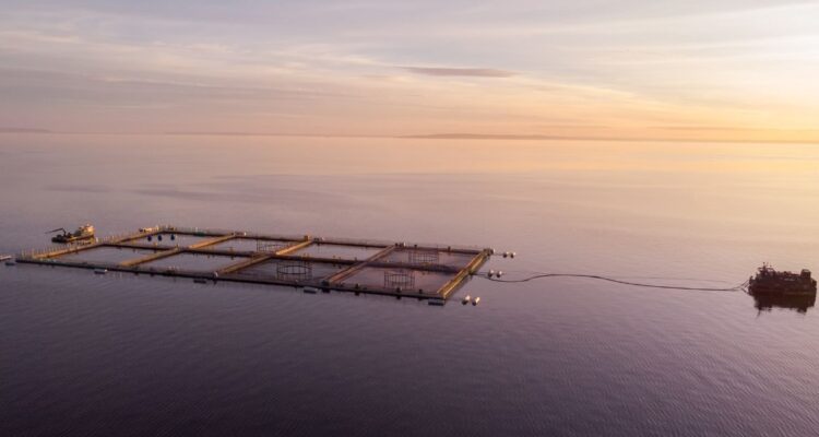 Contexto | Felipe Constanzo | Agencia UNO