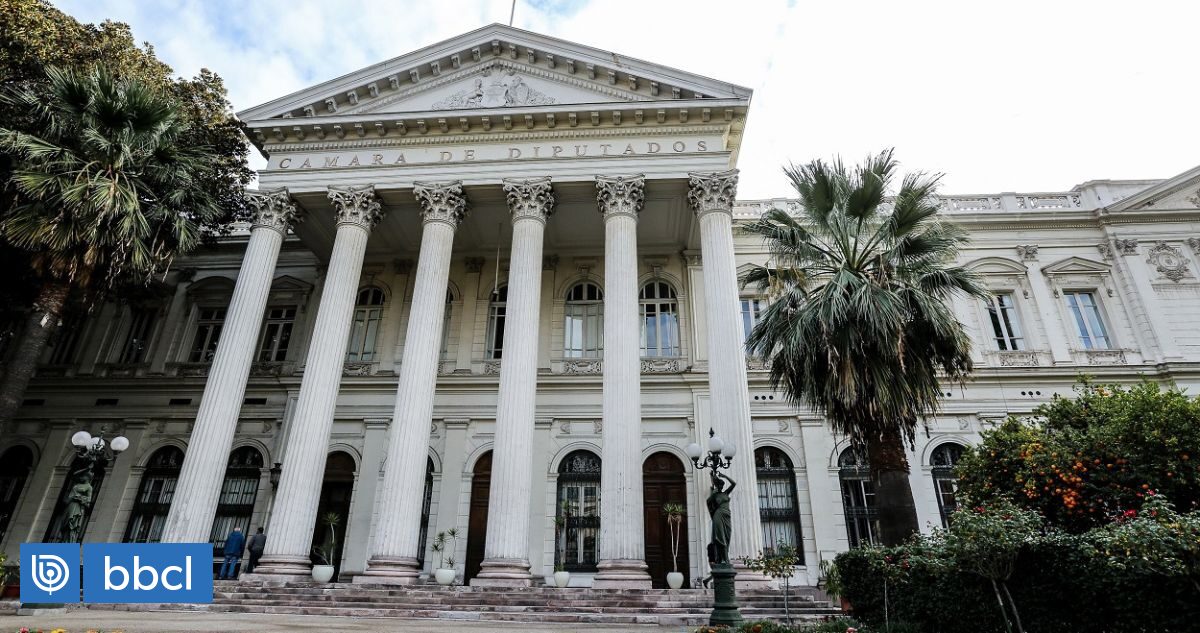 3 Claves Para Entender El Rol De Los Consejeros Constitucionales