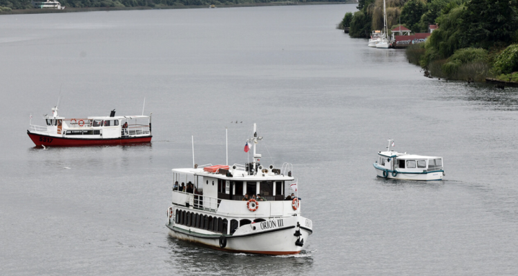 ¿Puente o túnel subfluvial?: MOP reconoce poca claridad por conectividad en sectores de Valdivia