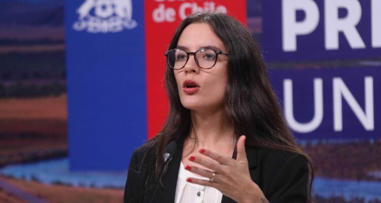 Vallejo y elección constituyente: “El Gobierno no torcerá su dirección sea cual sean los resultados”