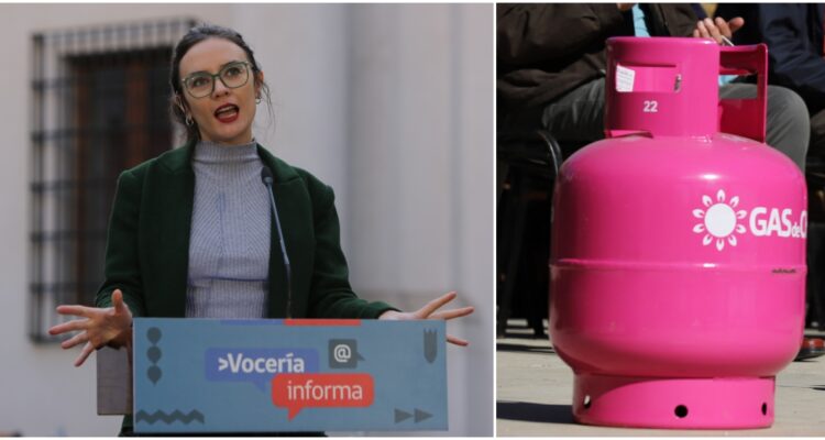 Vallejo llama a “no sobreideologizar” debate de reforma tributaria tras fracaso de plan gas de Chile