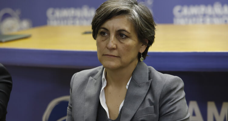 Ante crisis por dengue en Perú: Minsal asegura que en Chile se están tomando medidas al respecto