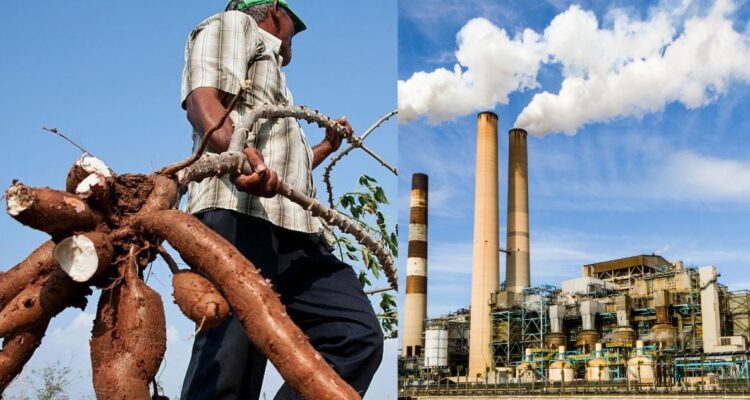 El ácido cianhídrico se encuentra en la naturaleza