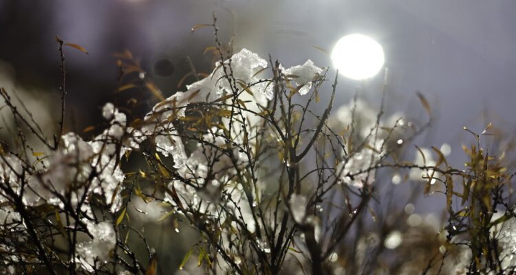 Alerta preventiva por nevadas en Los Ríos