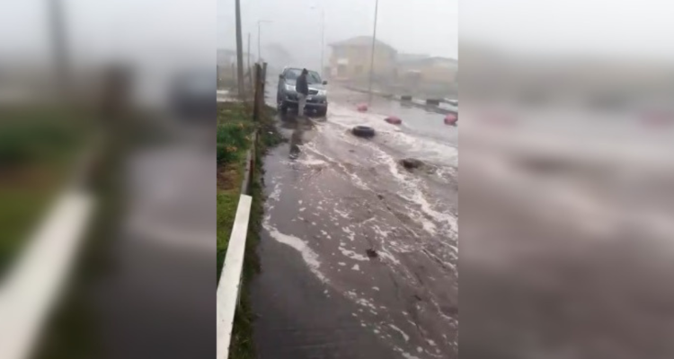 Alerta Roja Coelemu
