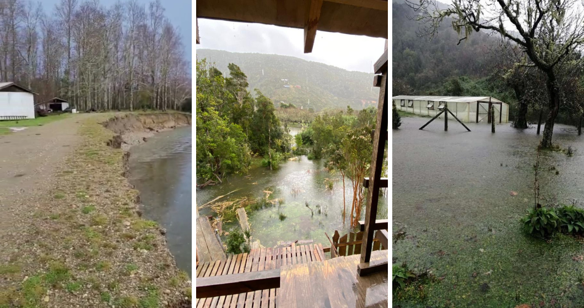 Sistema frontal provoca desborde de un río en Osorno: otro cauce amenaza 3 viviendas y un camino rural