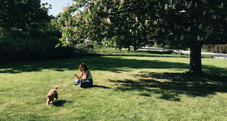 El acceso a áreas verdes en la ciudades podría ralentizar el envejecimiento biológico, según estudio