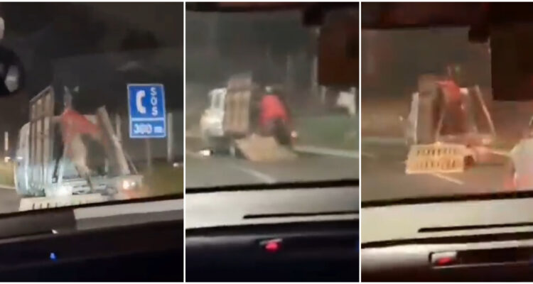 Caballo arrastrado por metros en ruta Las Palmas de Valparaíso