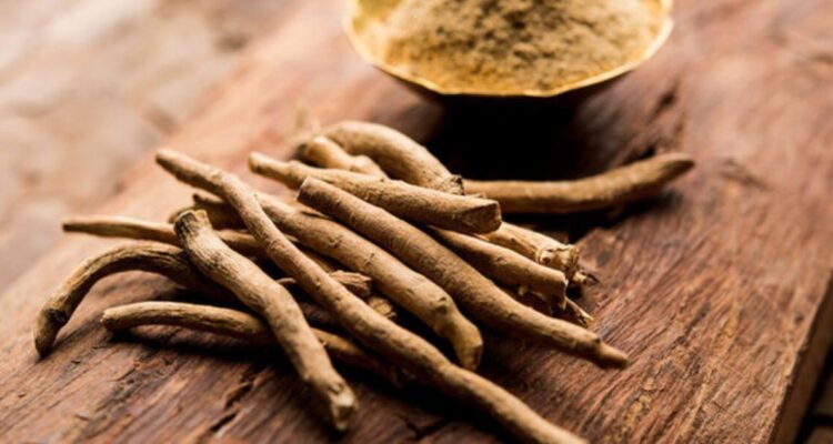 Ashwagandha es un producto natural usado para tratar la infertilidad masculina