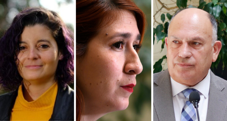 Por vínculo de Dresdner: Bobadilla pide se informe posibles asignaciones a fundaciones del Bío Bío