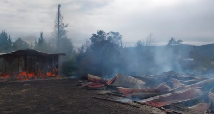 ataque incendiario lago Lanalhue
