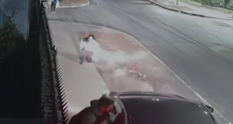 Detienen a conductor por atropellar a pareja tras pelea en un cruce peatonal de La Reina