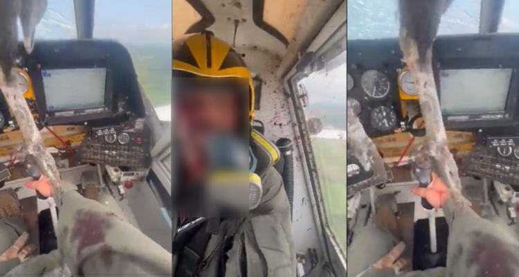 Capturas del impacto del aviador con el ave en Ecuador